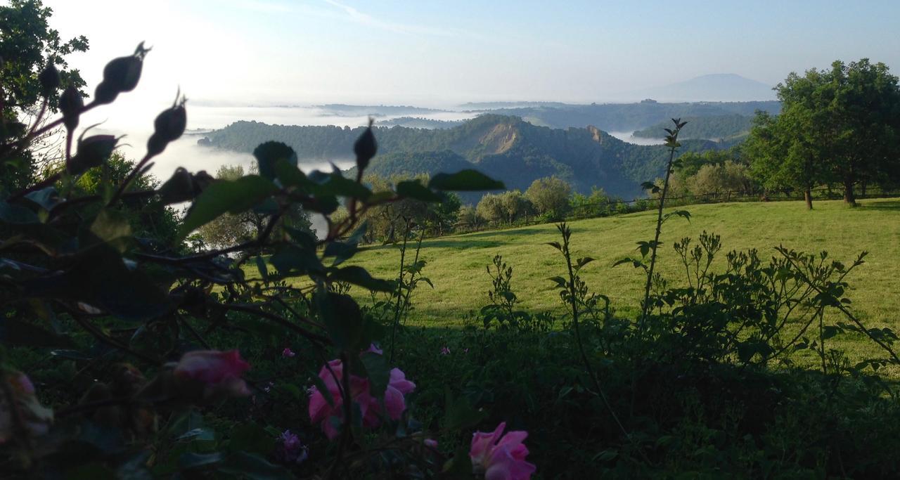 Bed And Breakfast Dopo Il Settimo Cielo Lubriano Luaran gambar