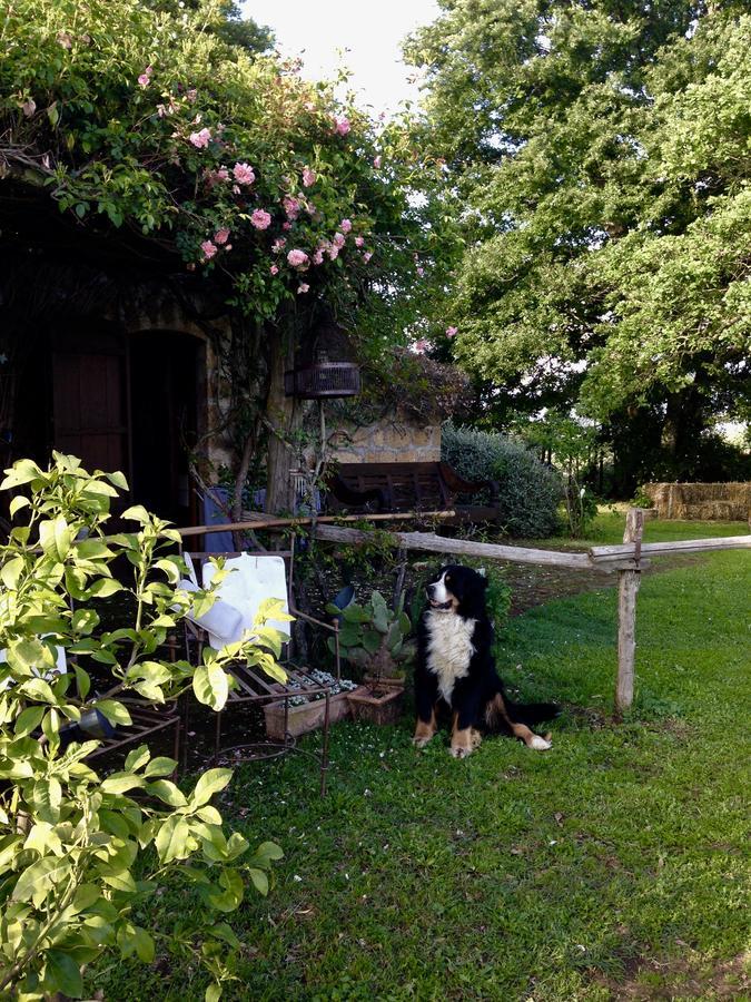 Bed And Breakfast Dopo Il Settimo Cielo Lubriano Luaran gambar